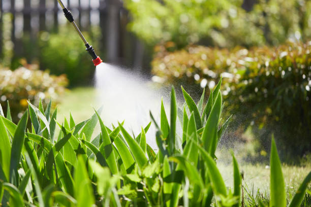 24/7 Emergency Mosquito Control experts in Syracuse, NE